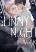 a-sunny-night-walk.jpg