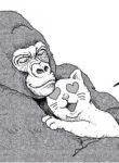 an-extremely-attractive-gorilla.jpg