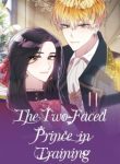 the-two-faced-prince-in-training.jpg